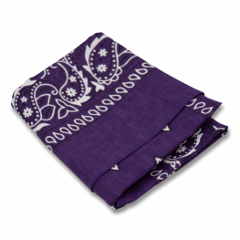 Paisley Bandanas PB2001 Purple (DZ)  Paisley Bandanas PB2001 Purple (DZ)