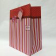 Gift Bag QB1357