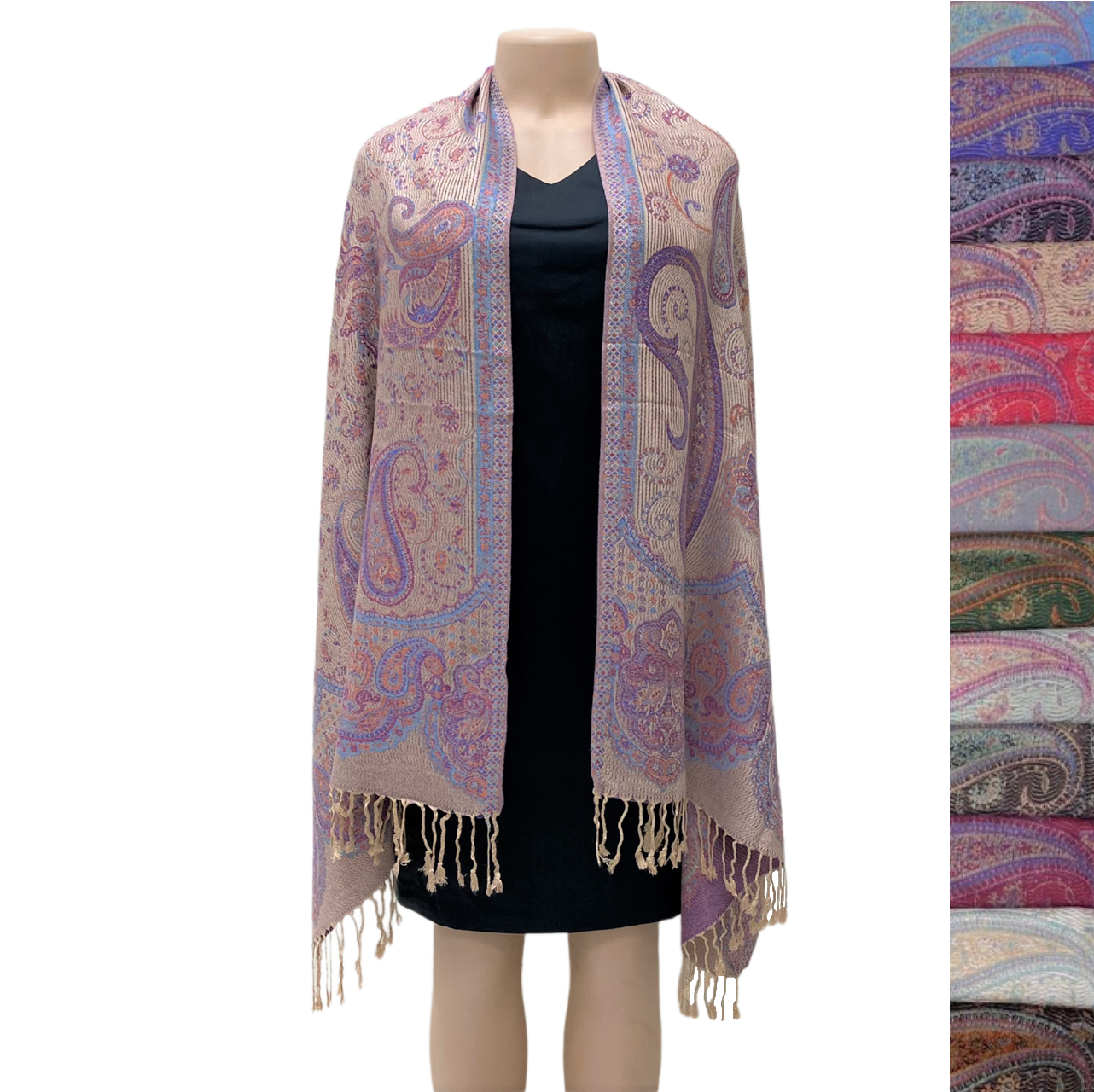 Multi Print Paisley Pashmina NY23151 ( 12 Colors, 1DZ)